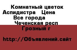 Комнатный цветок Аспидистра › Цена ­ 150 - Все города  »    . Чеченская респ.,Грозный г.